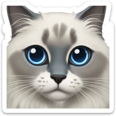 Blue point ragdoll cat with short length hair, with blue eyes, dark face  sticker