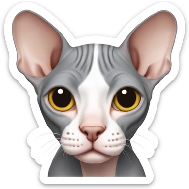 A gray Canadian sphynx with a white bridge of the nose winks sticker