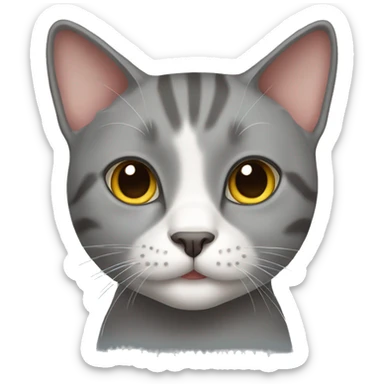 gray cat of British breed sticker