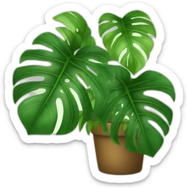 PLANTS MONSTERA sticker