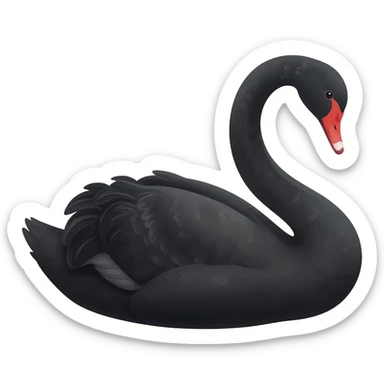 cigne noir sticker