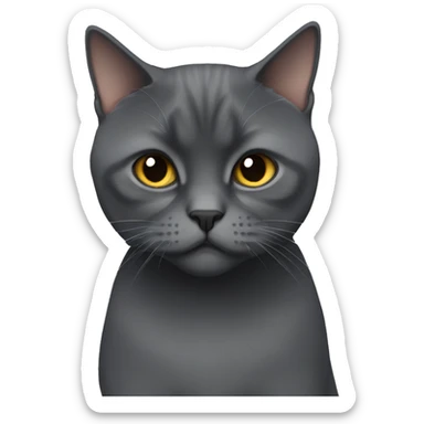 Dark grey British short hair grumpy sticker