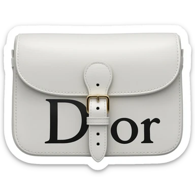 white dior printed saddle bag sticker