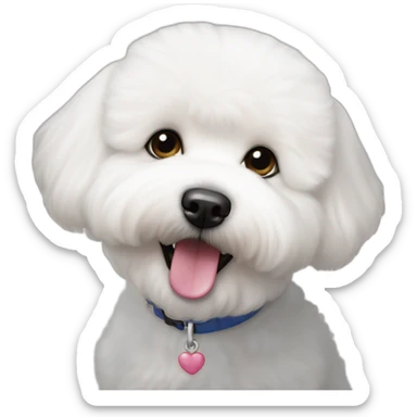 muzzle white bichon frise who is 1 year old sticker