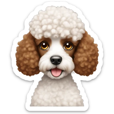 brown white mini poodle with teddy bear haircut sticker