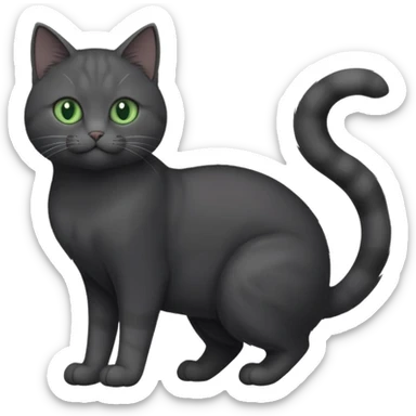 full body gorgeous solid dark grey cat with green eyes, white paws and white whiskers stretching like a cat sticker