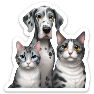 Blue Merle Great Dane next to two tabby cats and one black cat sticker