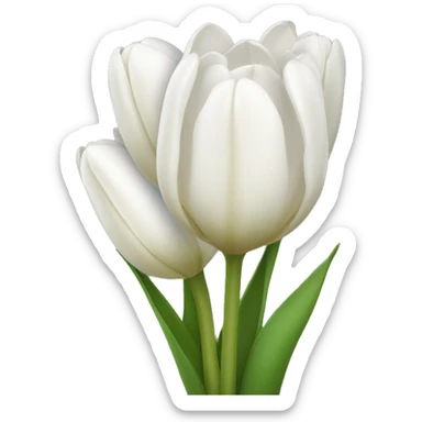 White tulip bouquet sticker