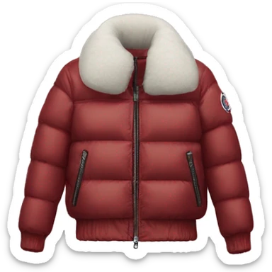   moncler jacket  sticker