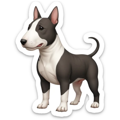 black Bull terrier sticker