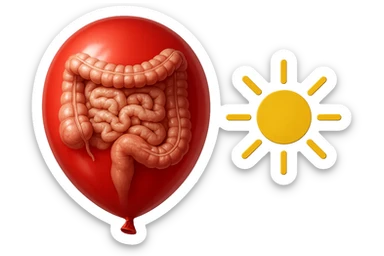 intestino umano anatomico chiuso in un palloncino rosso che simboleggia gonfiore, accanto un simbolo di sole che simboleggia "gonfiori di mattina", iperrealistico 4k sticker