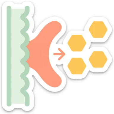 Ultra-detailed illustration of enzyme digestion: amylase breaking starch into sugars near a cell membrane. Clean white background, no text. Scientific but simple sticker
