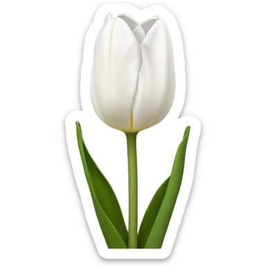 White tulipa sticker