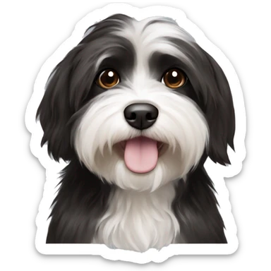 Black and white Havanese with dark brown eyes sticker