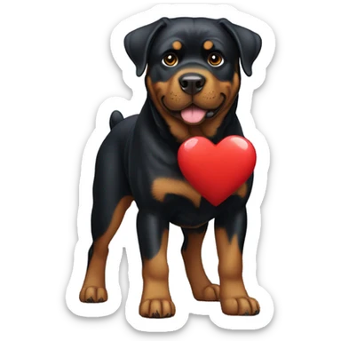 Rottweiler with a heart sticker