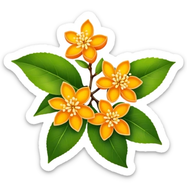 osmanthus flowers sticker