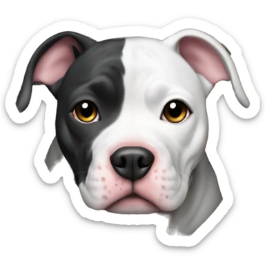 black and white pitbull wrapped up in blankets sticker