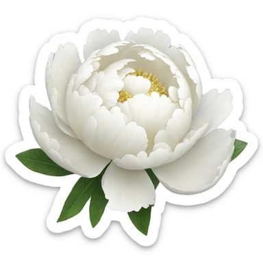 White Peony sticker