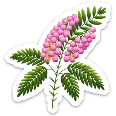 Pink Mimosa with flower  sticker
