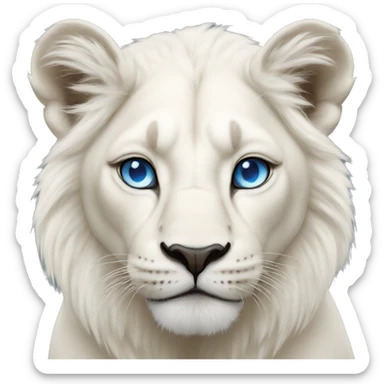 Albino lioness with blue eyes sticker