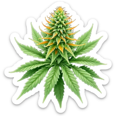cannabis flower sticker