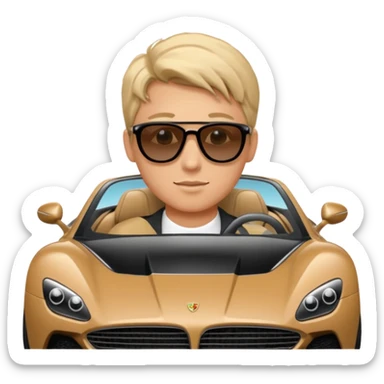 A rich boy in the super car  sticker