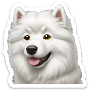 Samoyed dog  sticker