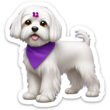 Maltese dog with purple collar sticker