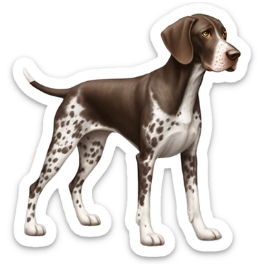 German Shorthaired Pointer Dog Breed Full Body sticker