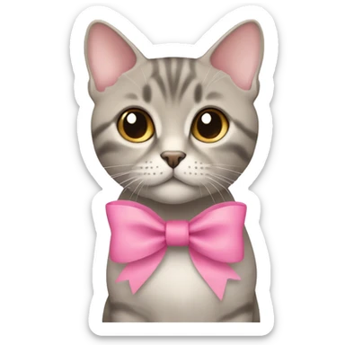 British short hair beige and grey with a pink bow sticker