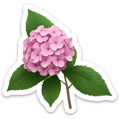 Pink hydrangea sticker