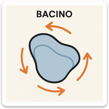 Bacino ruotato in senso orario sticker