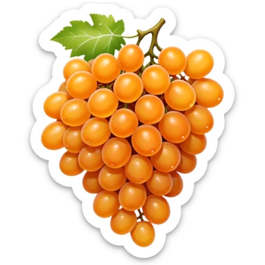 orange grapes sticker