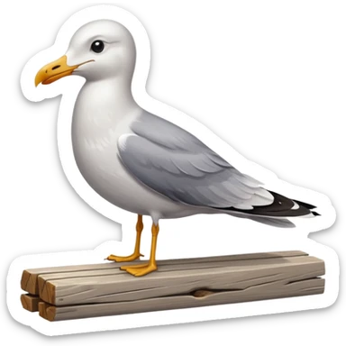 A seagull rocking sticker