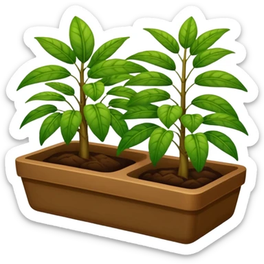 plantas abundantes tipo helecho en macetas rectangulares color café sticker