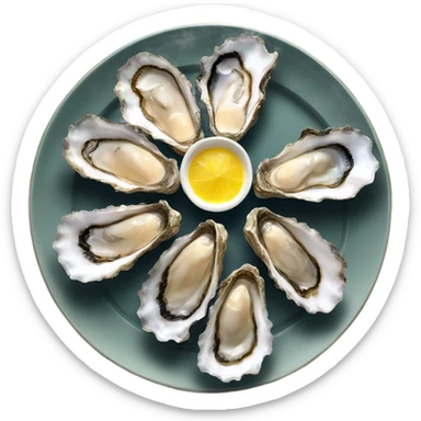 A plate of oysters  sticker