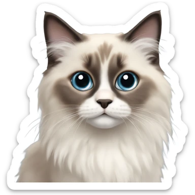 Ragdoll kitten with doe eyes sticker