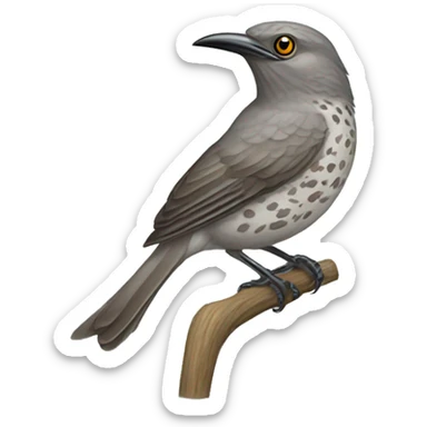 Pearly-eyed Thrasher  sticker