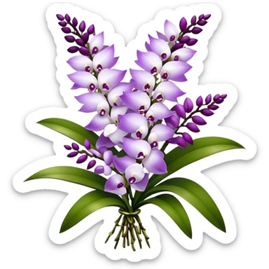 big bouquet white purple Rhynchostylis Orchid, stem, leaf, luxuriant sticker