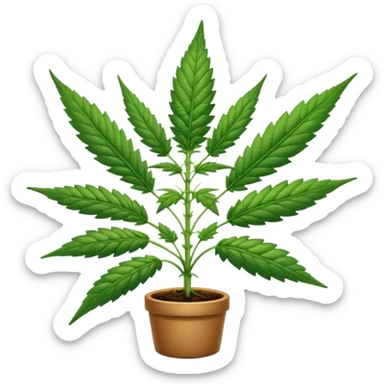 Cannabis sticker