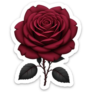 black rose, without green leaves, just flower sticker