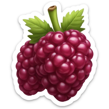 Framboise sticker