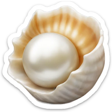 Shell pearl sticker