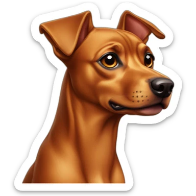 caramel-color-pinscher-dog sticker