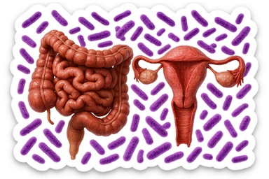 intestino umano anatomico realistico accanto ad un utero umano anatomico realistico, dietro i due organi fluttuano batteri intestinali con questo colore: #971ef1, iperrealistico 4k
isolata su sfondo bianco sticker