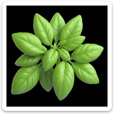 a bunch of fresh basil with bright green leaves, in 3D volumetric iOS style, with soft shadows and realistic highlights, on a white background sticker