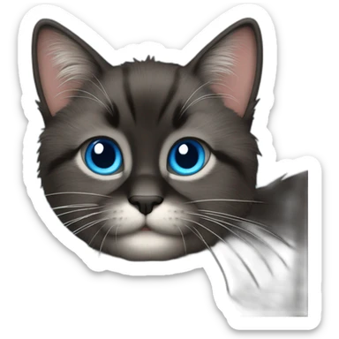 create a black furry cat emoticon with blue eyes that says "have fun!,, sticker