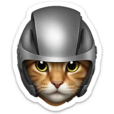 A Cat with a Vega Helmet sticker