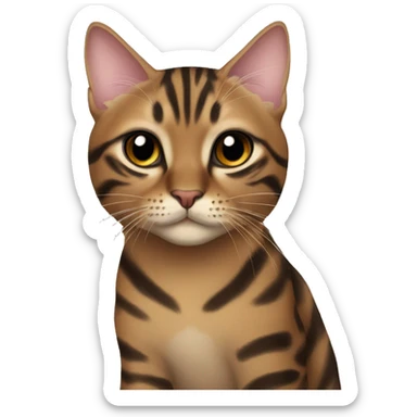 Beautiful woman long darkhair hug bengal cat sticker