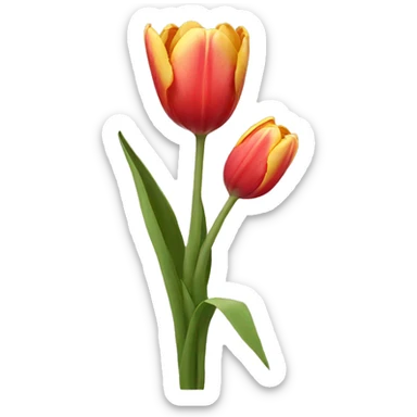 Tulips  sticker